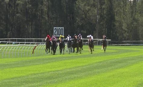 BELLES TURF.